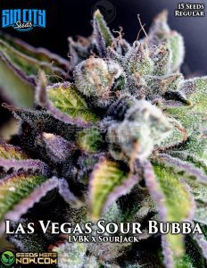 Las Vegas Sour Bubba (Regular) (space) Sin City Seeds