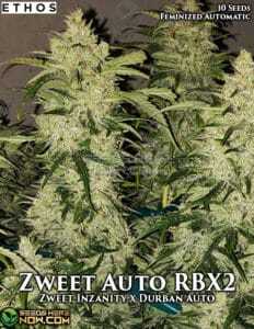 Zweet Auto RBX2 (Autoflower) (space) Ethos Genetics