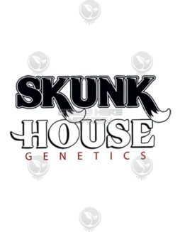Strawbercots (Regular) (space) Skunk House GeneticsSkunk(space)house