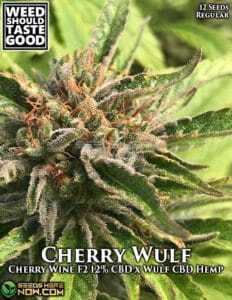 Cherry Wulf (Regular) (space) Weed Should Taste Good