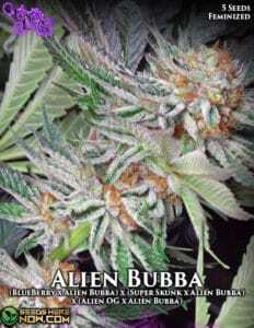 Alien Bubba (Feminized) (space) La Plata Labs