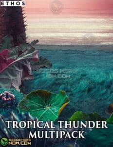 Tropical Thunder Auto Multipack (Regular) (space) Ethos Genetics
