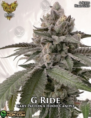 G Ride (Feminized) (space) Solfire Gardens