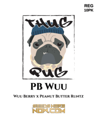 PB Wuu (Regular) (space) Thug Pug Genetics