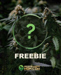 (space) Freebie {Distribution Choice} (< 200 Thank You)