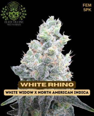 White Rhino S1 (Feminized) (space) Elite Clone Seed Company