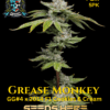 Grease Monkey
