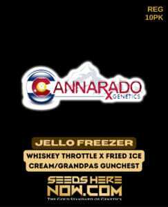 Jello Freezer (Regular) (space) Cannarado Genetics