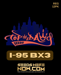 I (space)95 BX3 (Regular) (space) Top Dawg Seeds