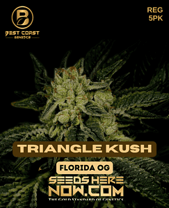 Triangle Kush (Regular) (space) Best Coast Genetics