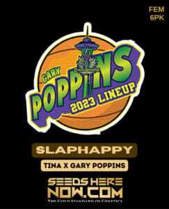 Slaphappy (Feminized) (space) Exotic Genetix