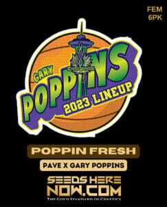Poppin Fresh (Feminized) (space) Exotic Genetix