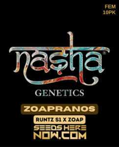 Zoapranoz (Feminized) (space) Nasha Genetics