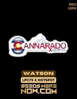 Watson (Regular) (space) Cannarado GeneticsWatson (Regular) (space) Cannarado Genetics