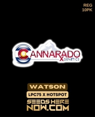 Watson (Regular) (space) Cannarado Genetics