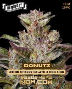 Donutz (Feminized) (space) Humboldt Seed Company
