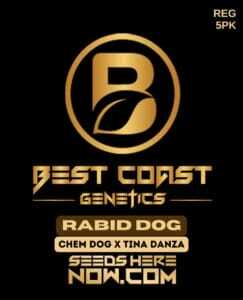 Rabid Dog (Regular) (space) Best Coast Genetics