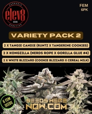 Variety Pack 2 (Feminized) (space) Elev8 Seeds
