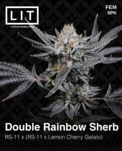 Double Rainbow Sherb (Feminized) (space) LIT Farms