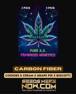 Carbon Fiber S1 (Feminized) (space) Pure XX