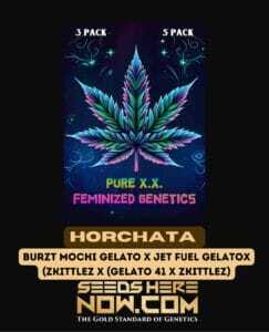 Horchata S1 (Feminized) (space) Pure XX