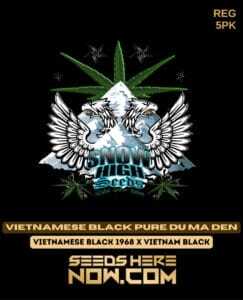 Vietnamese Black Pure Du Ma Den (Regular) (space) Snow High Seeds