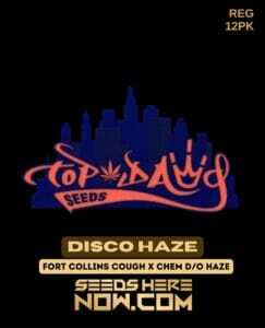 Disco Haze (Regular) (space) Top Dawg Seeds