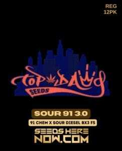 Sour 91 3.0 (Regular) (space) Top Dawg Seeds