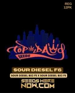 Sour Diesel F6 (Regular) (space) Top Dawg Seeds