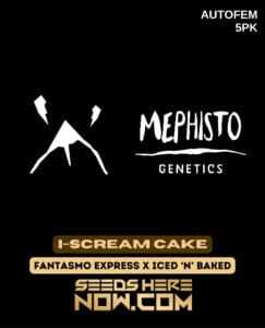 I(space)Scream Cake (Autoflower) (space) Mephisto Genetics