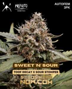 Sweet 'n' Sour (Autoflower) (space) Mephisto Genetics
