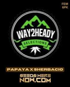 Papaya x Sherbacio (Feminized) (space) Way2heady Selections