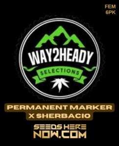 Permanent Marker x Sherbacio (Feminized) (space) Way2heady Selections