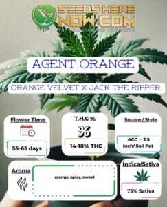 Agent Orange Clones (space) ACC