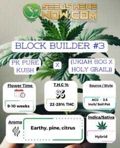 Block Builder #3 Clones (space) ACC