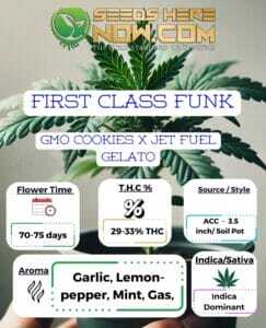 First Class Funk Clones (space) ACC
