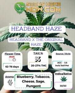 Headband Haze Clones (space) ACC