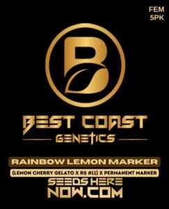 Rainbow Lemon Marker (Feminized) (space) Best Coast Genetics