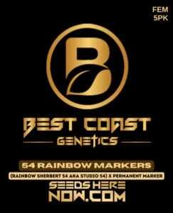 54 Rainbow Markers (Feminized) (space) Best Coast Genetics