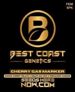 Cherry Gas Marker (Feminized) (space) Best Coast Genetics