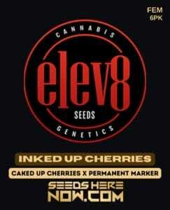 Inked Up Cherries (Feminized) (space) Elev8 Seeds
