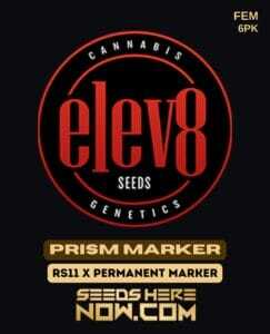 Prism Marker (Feminized) (space) Elev8 Seeds