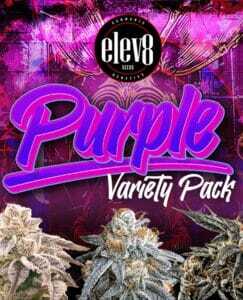 Purple Variety Pack (Feminized) (space) Elev8 Seeds