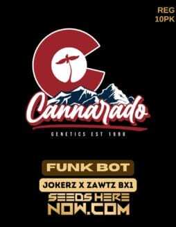 Cannarado Genetics (space) Funk Bot {REG} [10pk]Cannarado Genetics (space) Funk Bot {REG} [10pk]