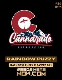 Cannarado Genetics (space) Rainbow Puzzy {REG} [10pk]Cannarado Genetics (space) Rainbow Puzzy {REG} [10pk]