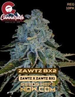 Cannarado Genetics (space) Zawtz Bx2 {REG} [10pk]Cannarado Genetics (space) Zawtz Bx2 {REG} [10pk]