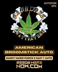 American Broomstick Auto (Autoflower) (space) Eazy Daze Cultivators