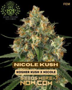 Nicole Kush S1 (Feminized) (space) Elite Clone Seed Company