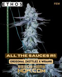 All the Sauces R1 (Feminized) (space) Ethos Genetics