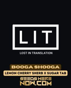 Booga Shooga (Feminized) (space) LIT Farms